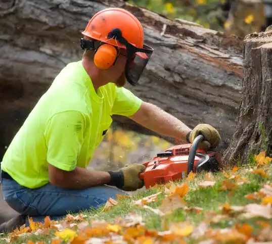 tree services Richardton